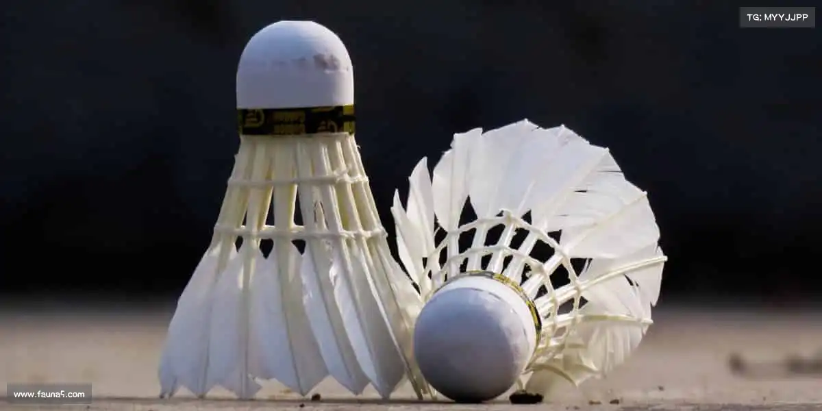 九游老哥——挑战极限，你的潜能远超想象！⛰️